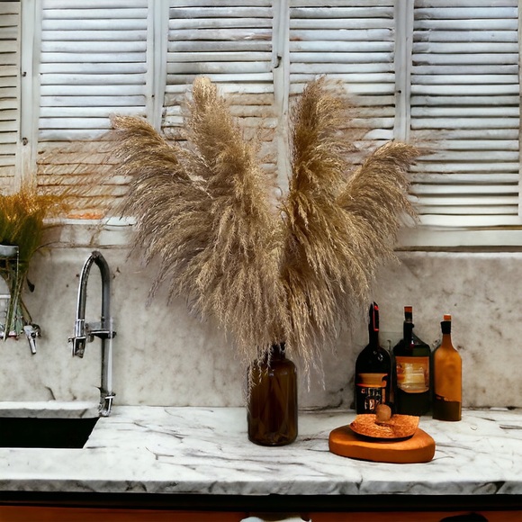 Natural Pampas Grass- 3 Stems - Picture 3 of 13